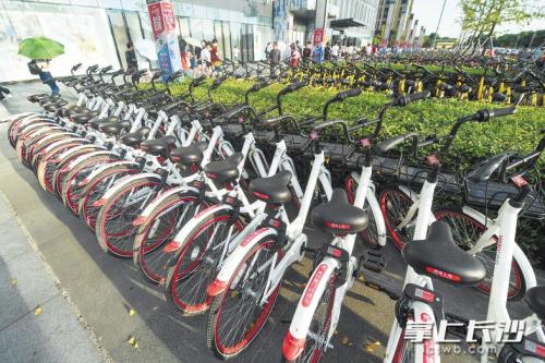 昨日下午，在開福區(qū)萬達廣場，成片的共享單車停放在廣場前坪。 長沙晚報記者 黃啟晴 攝