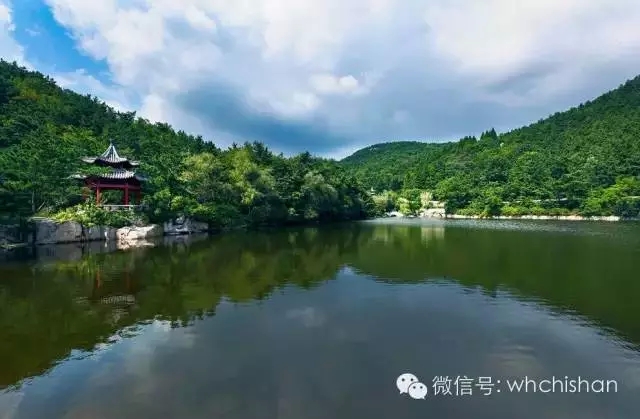 花期已過葉還未紅 去赤山賞云吧！