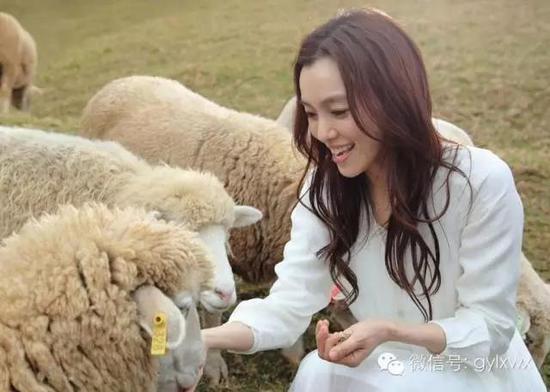 明星旅行糗事一籮筐 總有一個萌到你！