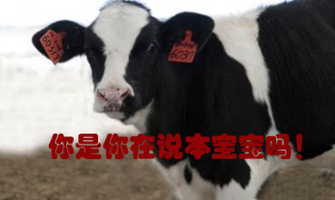 關(guān)我什么事！