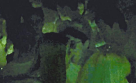 房祖名去年被港媒直擊在中環(huán)夜店與長發(fā)妞互動(dòng)曖昧,女生正是Nana