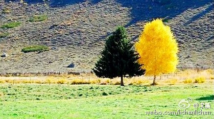 李晨公開(kāi)戀情1周年