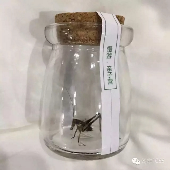 看看我的成果吧！