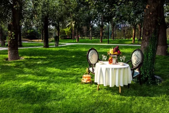 秋陽(yáng)鴻園，芳草青青