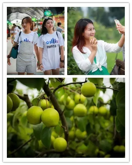 美女與香梨，你更愛哪一個？！