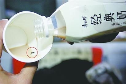 田先生喝的經(jīng)典奶茶中有一只蒼蠅。