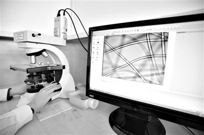 顯微鏡下，聚酯纖維很光亮，表面有斑點，粗細非常均勻。