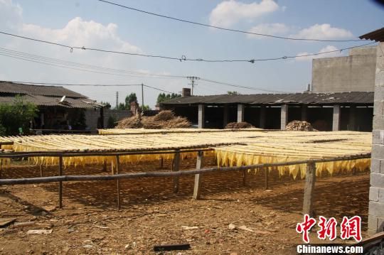 警方查處地下腐竹生產窩點照片 （圖片來源：中國新聞網(wǎng) 王正祥 攝  ）