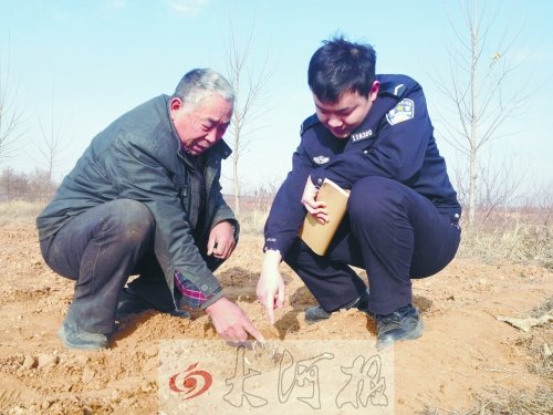 牡丹苗被盜之后，郭萬通又補種的牡丹苗已經(jīng)發(fā)芽