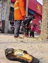 老漢右腿燒傷，樹下扔了一只燒焦的鞋