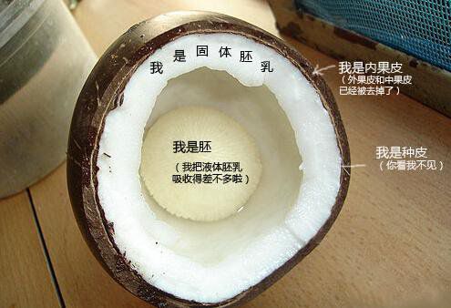 你在甜品店常吃的東西，到底都是啥？