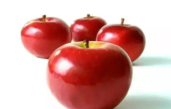 小心有毒！各種蔬果不能吃的部分