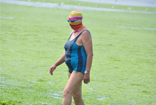 2013年7月3日，山東青島青島高溫來襲，“青島大媽”不懼滸苔，戴著“強(qiáng)盜面具”出現(xiàn)在海水浴場消暑降