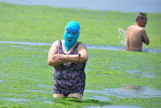 2013年7月3日，山東青島青島高溫來襲，“青島大媽”不懼滸苔，戴著“強(qiáng)盜面具”出現(xiàn)在海水浴場消暑降