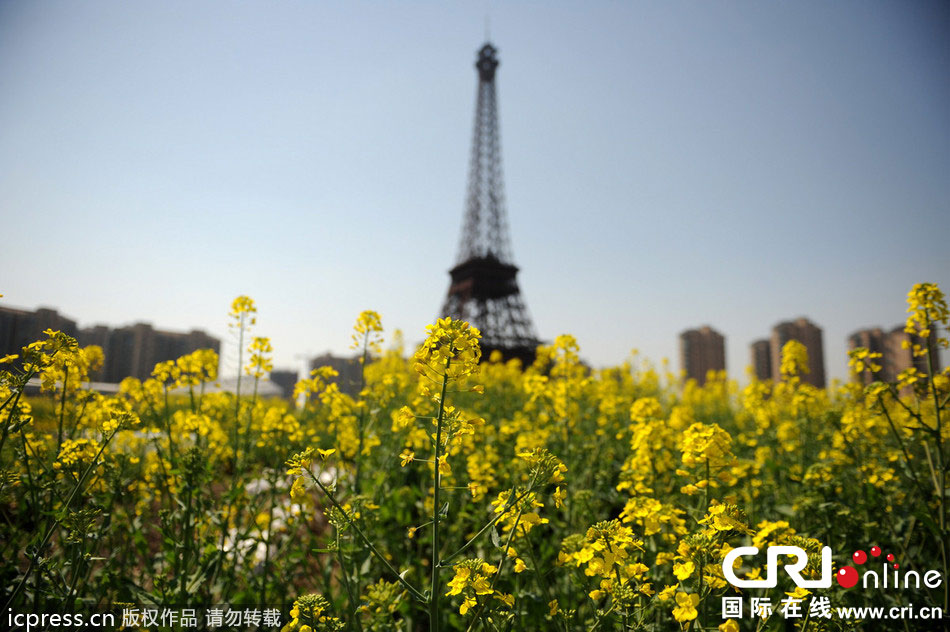 　2014年3月21日，杭州天都城，農(nóng)民在山寨埃菲爾鐵塔下耕作。圖片來源：東方IC