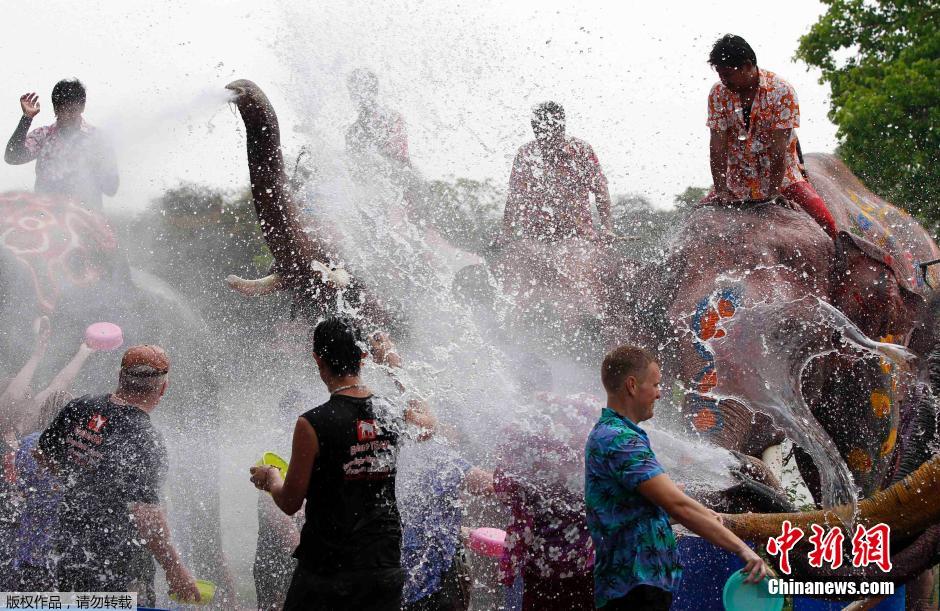 泰國民眾迎接潑水節(jié) 大象長鼻秒變“水槍” 泰國民眾迎接潑水節(jié) 大象長鼻秒變“水槍”