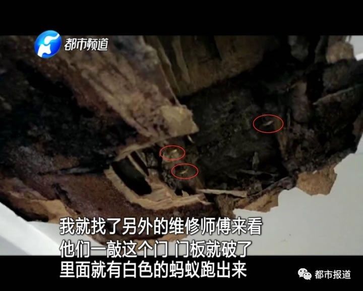 蟻?zhàn)宕筌娙肭?！十幾萬(wàn)裝修的新家被“吃掉”