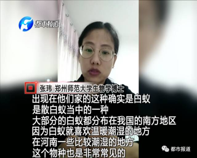 蟻?zhàn)宕筌娙肭?！十幾萬(wàn)裝修的新家被“吃掉”