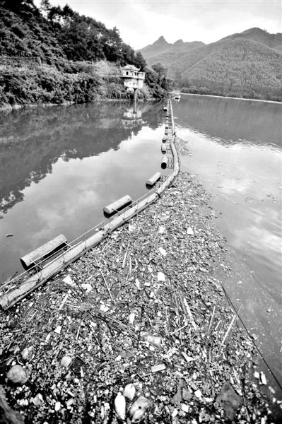 7月7日，廣西賀州市賀江合面獅段被污染的水域。據(jù)新華社