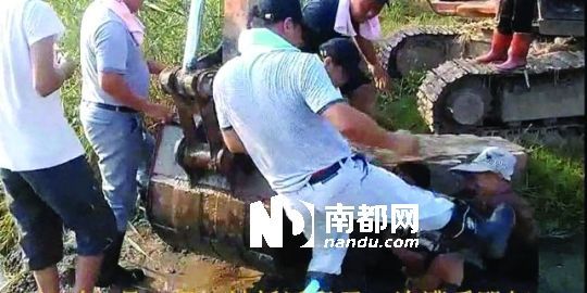 幾名戴黑帽的男子將一名老人推入水塘，后反復腳踹。