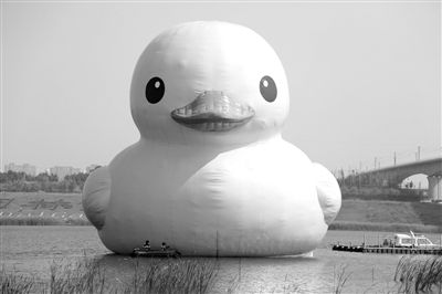 昨日，經(jīng)過連夜修正，大黃鴨的嘴部已恢復(fù)變寬，和在香港展出時看起來一樣。