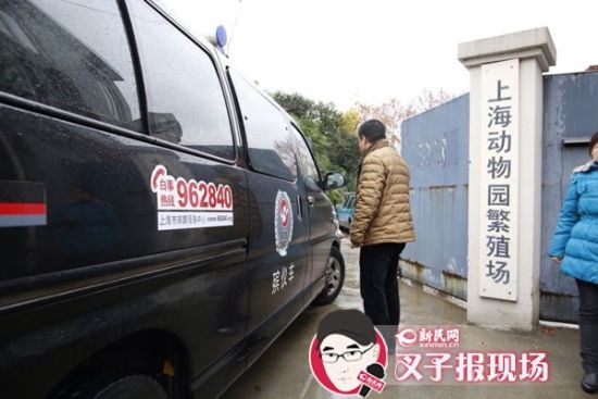 殯葬車到達(dá)現(xiàn)場。新民網(wǎng) 記者 蕭君瑋 攝