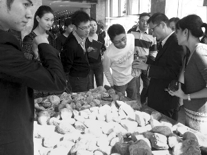 前段時(shí)間，夫子廟古玩城舉行的一場(chǎng)賭石活動(dòng)，吸引了不少人參與