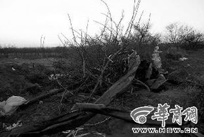 任云鵬殺人拋尸的枯井 本組圖片由本報(bào)記者 王警 攝 任云鵬殺人拋尸的枯井 本組圖片由本報(bào)記者 王警 攝