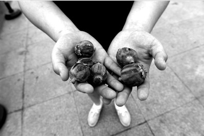 “大煙殼”輕易就可以買到。下圖：女?dāng)傊髂贸霾卦诩t色兜子里的“大煙殼”，向記者兜售。京華時(shí)報(bào)實(shí)習(xí)記者趙思衡攝