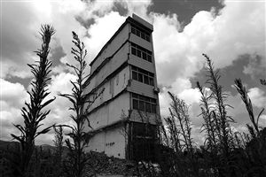 這幢5層的“片片樓”周圍已是一片拆遷后的廢墟，左邊的一堵墻上，不少鋼筋裸露在外面 圖片來(lái)源：新華網(wǎng)