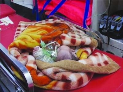 女?huà)氡贿z棄路旁險(xiǎn)遭車(chē)輪碾壓 警方已送福利院