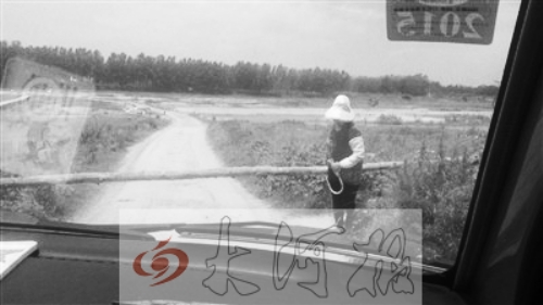 中年婦女?dāng)r路收費(fèi) 中年婦女?dāng)r路收費(fèi)