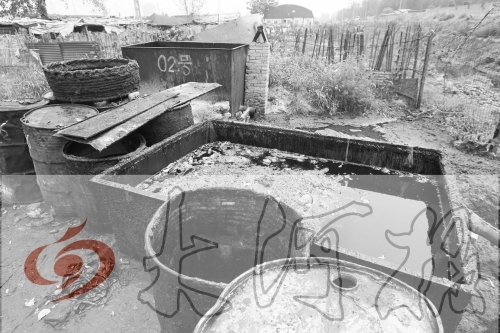 　　骯臟、令人作嘔的油桶凌亂地擺放在院子里，為了避免視覺刺激，我們把它做成了黑白圖片。