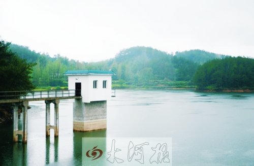 河南新縣一村疑現(xiàn)狼群獵食狗 專(zhuān)家稱(chēng)或是金錢(qián)豹 河南新縣一村疑現(xiàn)狼群獵食狗 專(zhuān)家稱(chēng)或是金錢(qián)豹