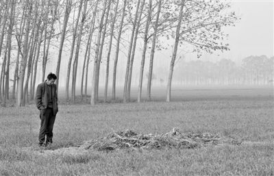 11月21日，高松中站在腦癱雙胞胎兒子墳前。