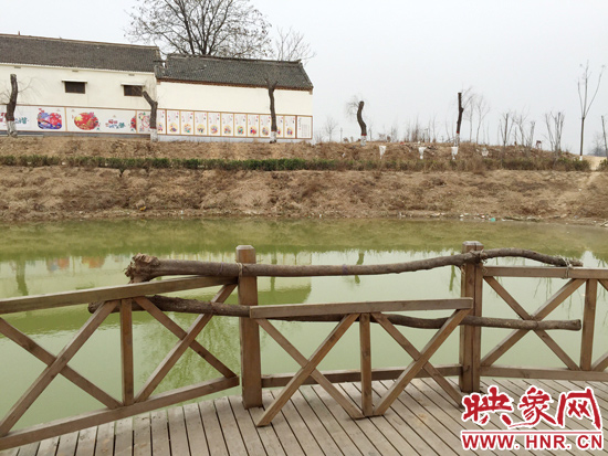 護(hù)欄損毀的地方，已經(jīng)被兩根樹(shù)干擋住。