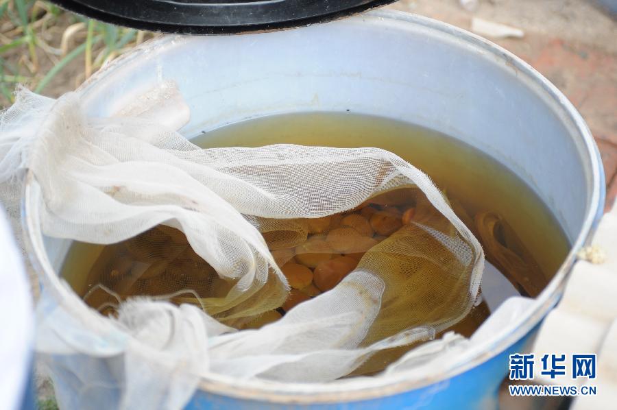 地下水成“綠茶”　污染二十多年該誰治？