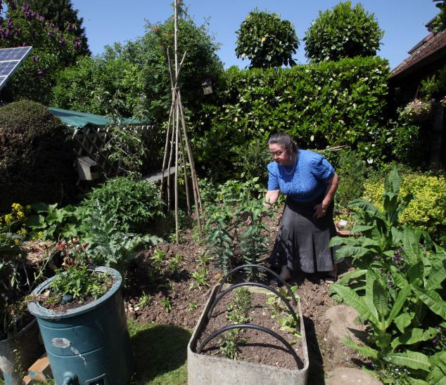 英夫妻"男耕女織"年支出500元 英夫妻"男耕女織"年支出500元