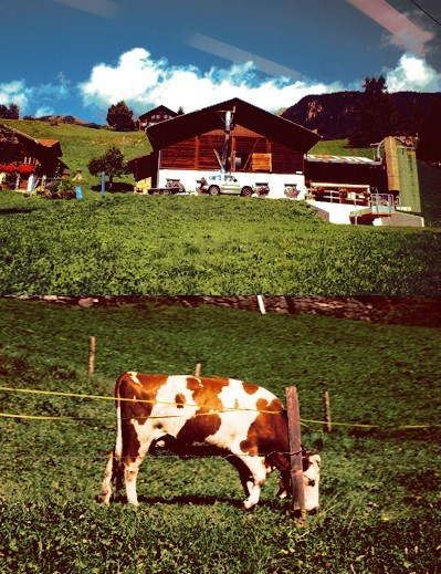 特色農(nóng)莊體驗(yàn)田園生活 特色農(nóng)莊體驗(yàn)田園生活