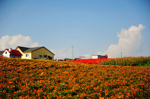 特色農(nóng)莊體驗(yàn)田園生活 特色農(nóng)莊體驗(yàn)田園生活