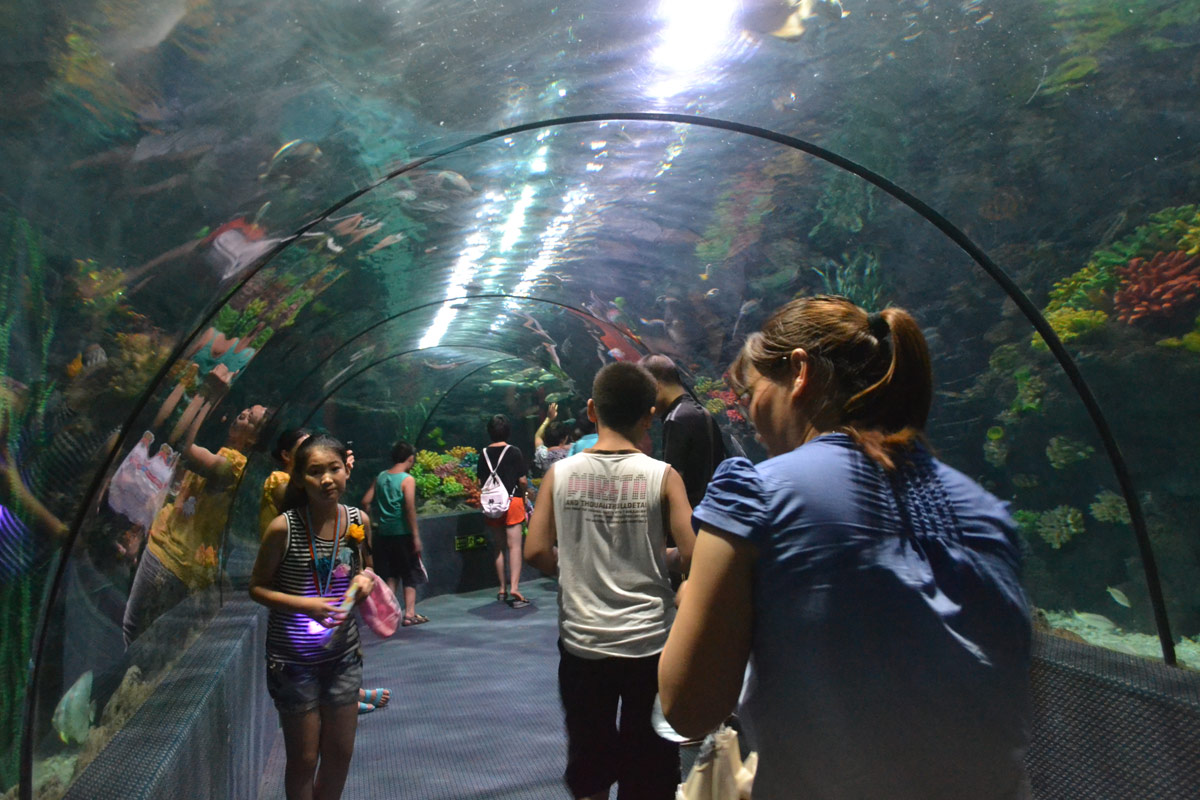 春節(jié)去哪兒？出游地圖告訴您！