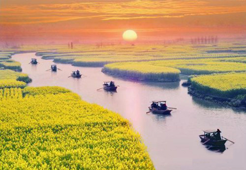 如何拍攝油菜花？達(dá)人教你7個(gè)拍攝技巧