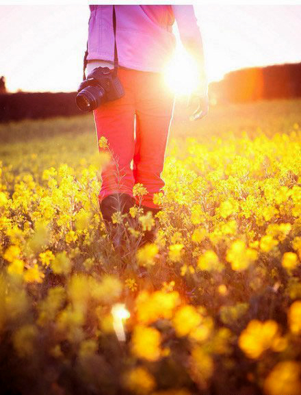 如何拍攝油菜花？達(dá)人教你7個(gè)拍攝技巧