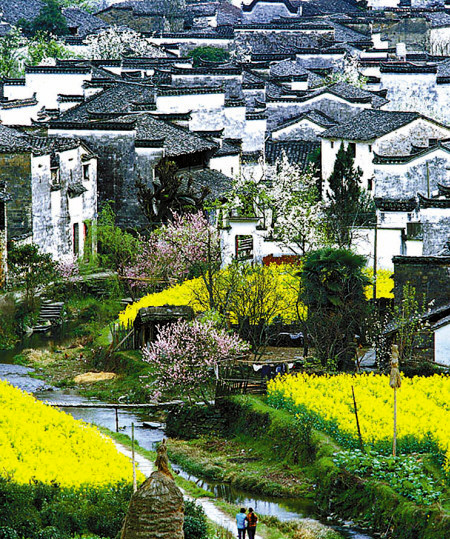 如何拍攝油菜花？達(dá)人教你7個(gè)拍攝技巧