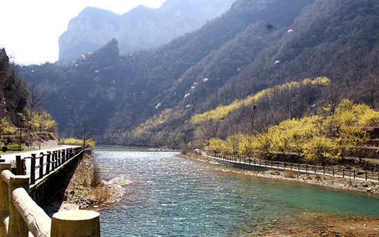 有一種呼喚，叫春天里的蟒河！