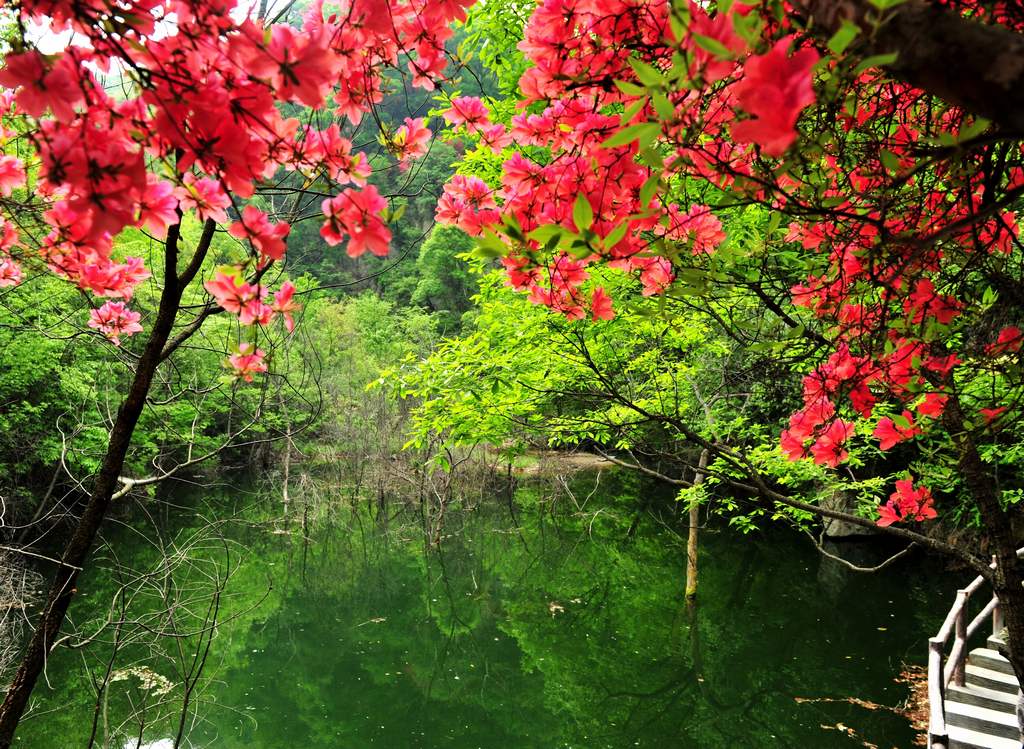 母親節(jié)河南景區(qū)優(yōu)惠大波來(lái)襲！