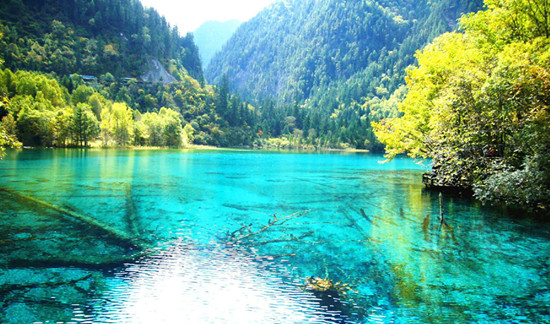 母親節(jié)，帶上爸媽去撒歡吧！！