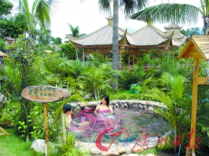 溫泉區(qū)樹木蔥蔥。