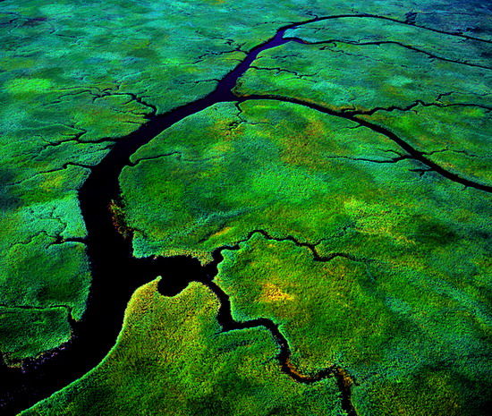 樂享綠色夏日 濕地公園生態(tài)親水之旅 樂享綠色夏日 濕地公園生態(tài)親水之旅