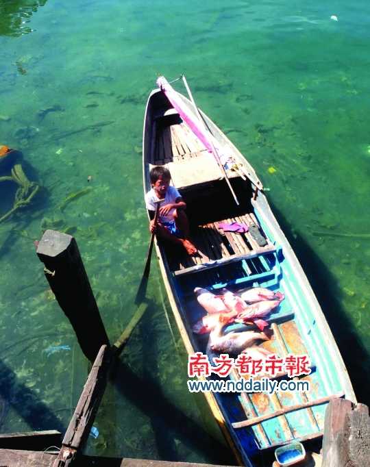 漁船上的孩子。